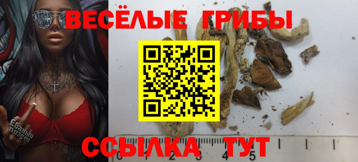 Белгород  Псилоцибиновые грибы Cubensis  Вход с VPN 